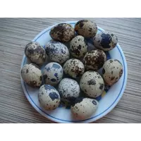 Яйца перепелиные пищевые